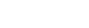 logo flexi-step